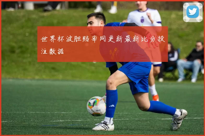世界杯波胆赔率网更新最新比分投注数据