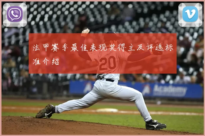 法甲赛季最佳表现奖得主及评选标准介绍