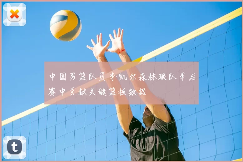 中国男篮队员李凯尔森林狼队季后赛中贡献关键篮板数据