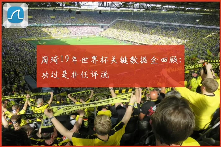 周琦19年世界杯关键数据全回顾:功过是非任评说