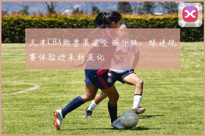 天津CBA购票渠道全面升级,球迷观赛体验迎来新变化