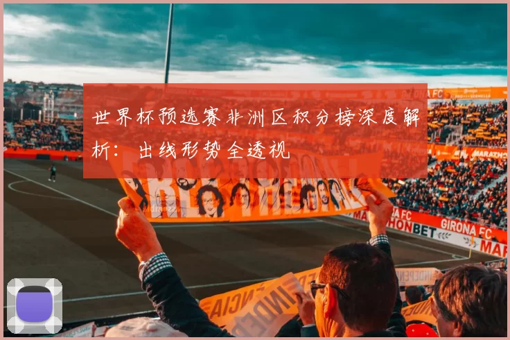 世界杯预选赛非洲区积分榜深度解析：出线形势全透视