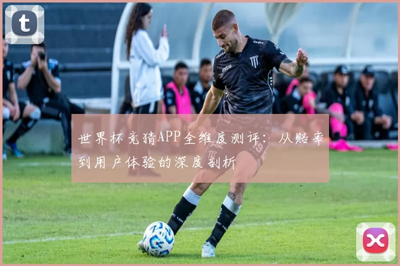世界杯竞猜APP全维度测评:从赔率到用户体验的深度剖析