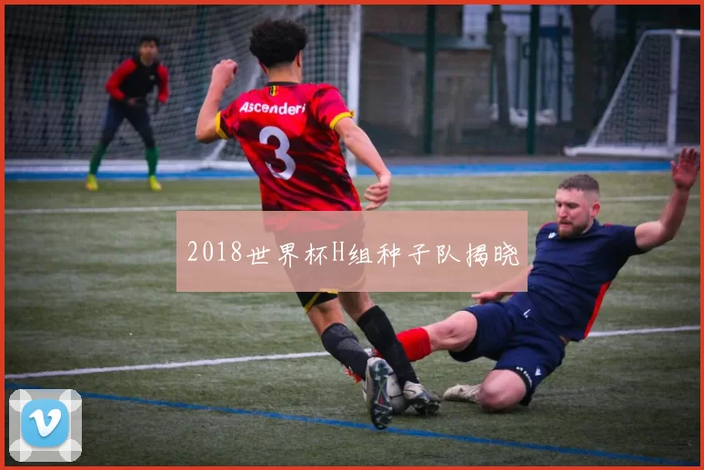 2018世界杯H组种子队揭晓
