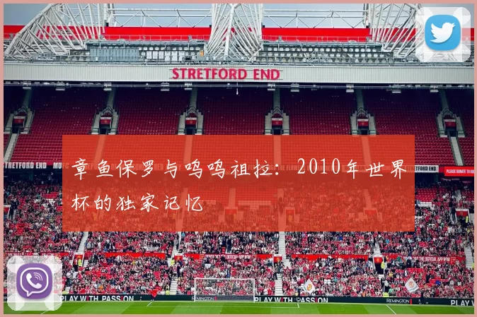 章鱼保罗与呜呜祖拉：2010年世界杯的独家记忆