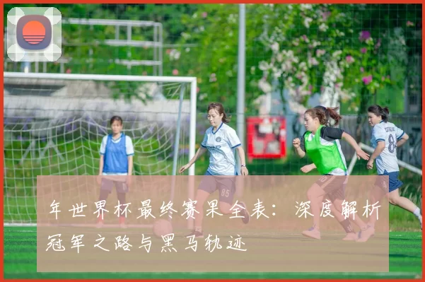 年世界杯最终赛果全表:深度解析冠军之路与黑马轨迹