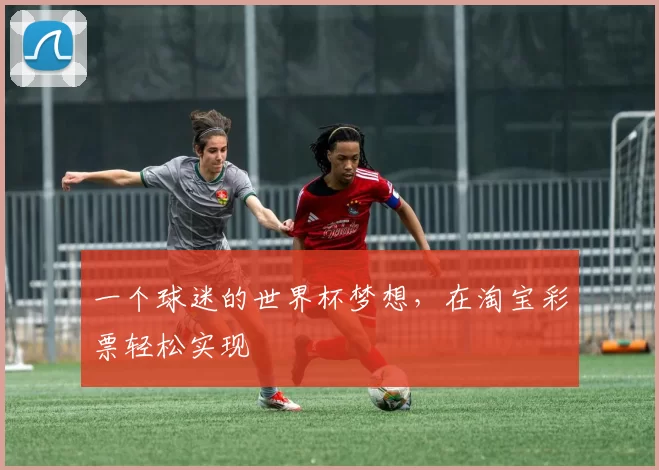 一个球迷的世界杯梦想,在淘宝彩票轻松实现