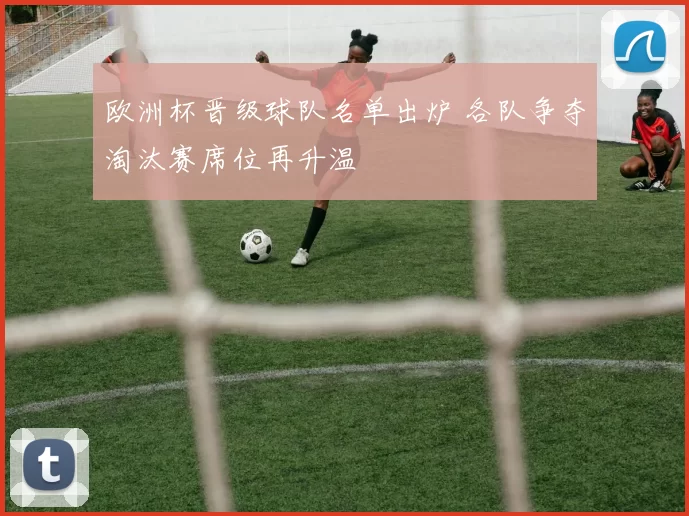 欧洲杯晋级球队名单出炉 各队争夺淘汰赛席位再升温